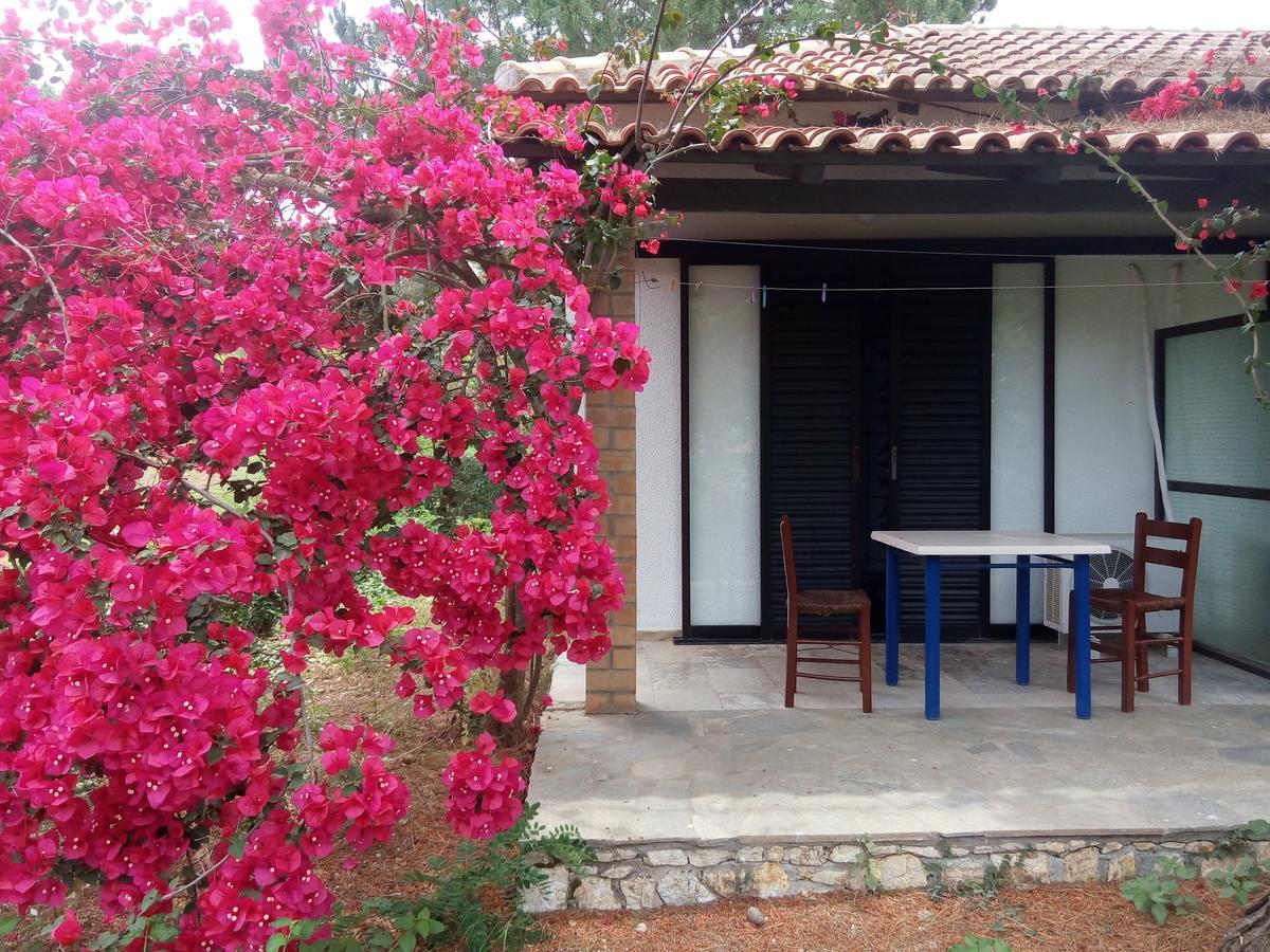 Hotel Dougas Arkoudi Extérieur photo