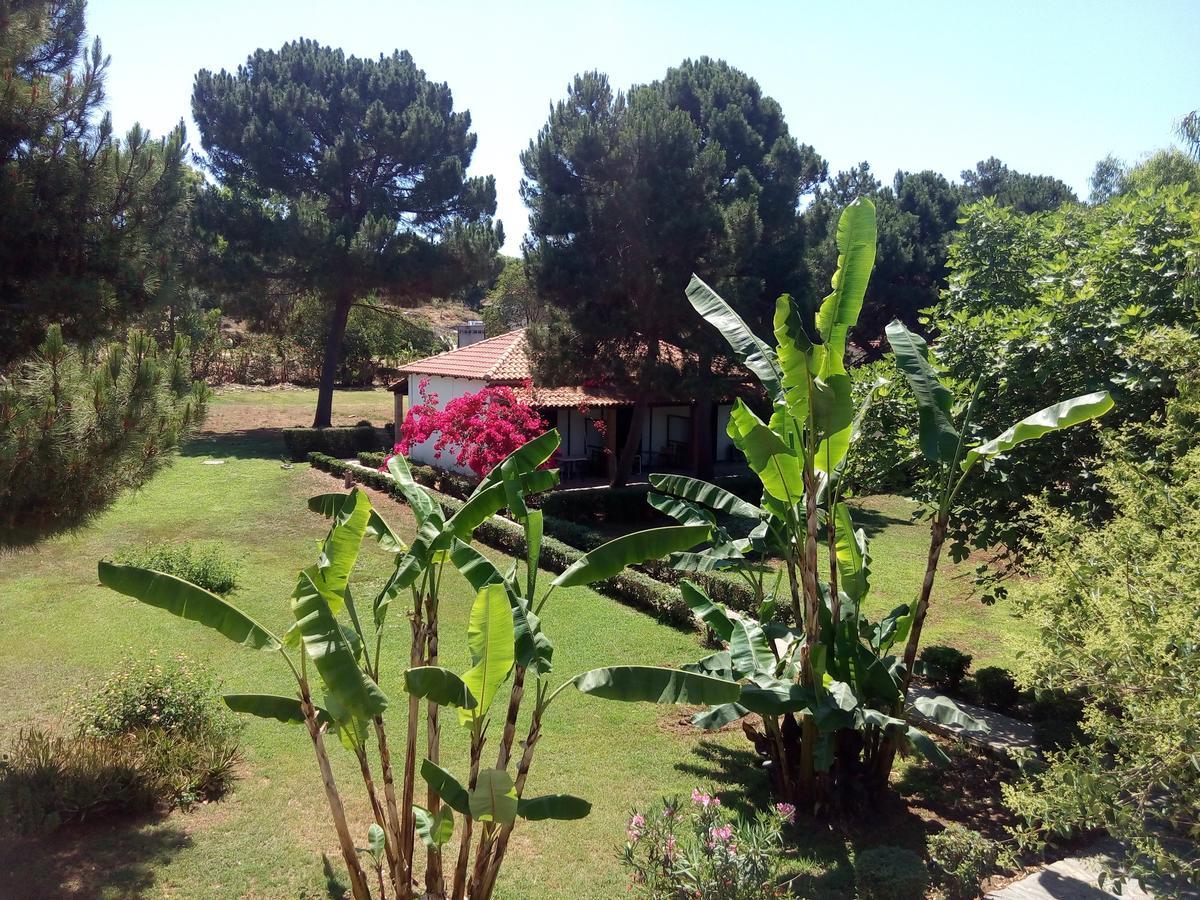 Hotel Dougas Arkoudi Extérieur photo